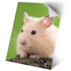 1 X Vinyl Sticker A2 - Hamster Pet Animals Rodent #8277