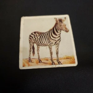 Godfrey Phillips Animal Studies Tobacco Burchell's Zebra 1936 #21 0f8 - Imagen 1 de 2