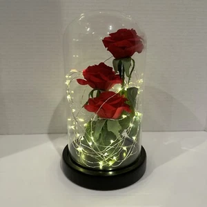 Beauty and The Beast Theme Rose Flowers LED String Lights … Dream Of Flowers - Picture 1 of 4