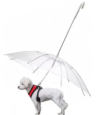 Ombrello per cani con guinzaglio, adatto a i cani di piccola e media taglia - Immagine 1 di 4