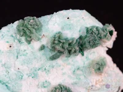 MALACHITE & CHRYSOCOLLA on QUARTZ Raw Crystal Cluster, Home Decor, Stones, 40026 - Image 1 of 4