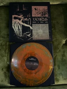 “Voids” by Have a Nice Life 2x LP Vinyl Silk Screened Cover Orange Variant - Picture 1 of 8