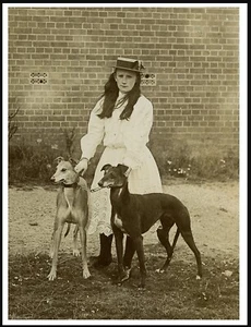 GREYHOUND GIRL AND TWO DOGS VINTAGE STYLE DOG PHOTO PRINT POSTER - Picture 1 of 1