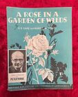 A Rose In A Garden Of Weeds - R.B. Saxe & W. David | Music Sheet. Mc10