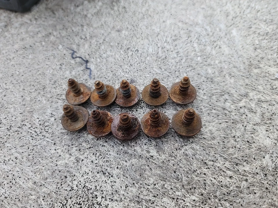 Toyota Pickup 1984-1988 4runner OEM guardabarros forro 10 mm perno lote de 10 Foto 1 de 1