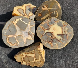 Septarian Nodule Odds and Ends Utah See Scale for Size 4.3 Pounds See Video - Picture 1 of 6