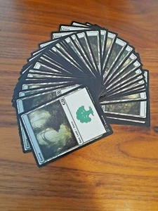 Magic the Gathering 50 x Forest / Wald Standard Land Basic in Englisch MTG - Bild 1 von 1