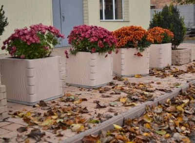 Molde de hormigón cerca pilar y columna decoración caja jardín protección flor F09 Foto 1 de 4