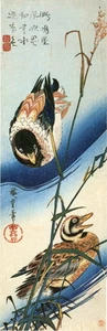Hiroshige, Birds & Botanical. Ducks Swimming in Reeds, Asian style 1988 print - Picture 1 of 1