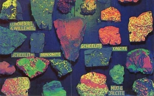 Postal SD: Minerales fluorescentes, jardines petrificados Badlands, Kadoka años 50 - Imagen 1 de 2