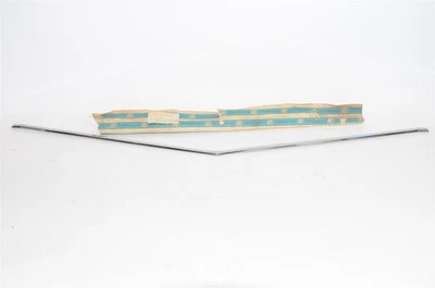 77 1977 Buick Skylark Radiator Grille Moulding GM 1253601 NOS - Image 1 of 4