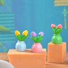 3Pcs 1:12 Dollhouse Miniature Tulip Potted Plant Flower Pot Bonsai Garden Decor