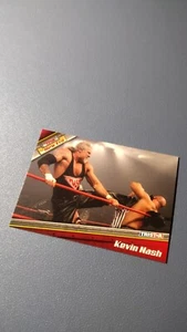 2010 Tristar TNA Kevin Nash - Picture 1 of 1