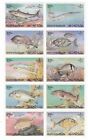 Bahrain Coastal Fish Sheet of 10 Se-tenant MNH Stamps 1985