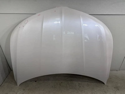 Lincoln MKX 2016-2018 capó carcasa panel de cubierta OEM Foto 1 de 4