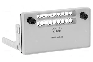 800-104216-01 CISCO NM-BLANK-T1 NETZWERKMODUL BLANK COVER FÜR KATALYSATOR 9300 - Bild 1 von 7