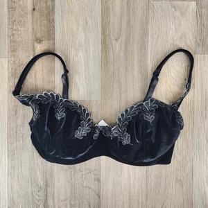 Victorias Secret 36C Velvet Pushup Bra Embroidered Floral Lingerie Thick Padded - Picture 1 of 9