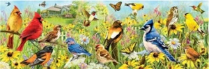 Puzzle 1000 Ptaki w ogrodzie, Panorama - Picture 1 of 1