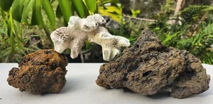 Red Hawaiian Lava Rock Aquarium Terrarium Reptile Fish Turtle Desert Natural(3) - Picture 1 of 8