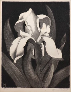 Marian Hebert 1930er Aquatinta Radierung Iris Blume Santa Barbara California Marion - Bild 1 von 19