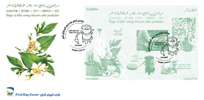 Algeria 2024 stages of  bitter orange blossom water prodution FDC - Image 1 of 3