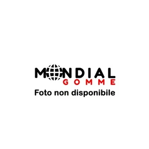 225 65 R17 106V XL PIRELLI Cinturato All Season SF 3 Neumáticos 4S 24/23 - Imagen 1 de 1