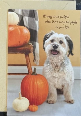 感恩节快乐卡片标志贺卡 — 第 1/4 张图片