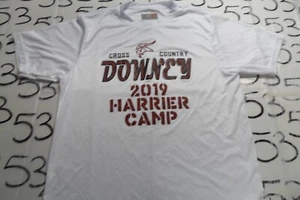 Large Youth Cross Country Downey 2019 Harrier Camp 100% Poly Shirt - Picture 1 of 4