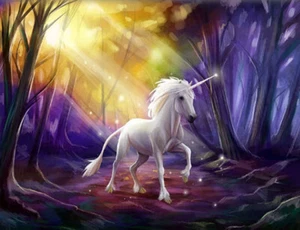 UNICORN mystical horse Happy Birthday Scene Setter wall mural BACKDROP 5'x3' #2 - Picture 1 of 1