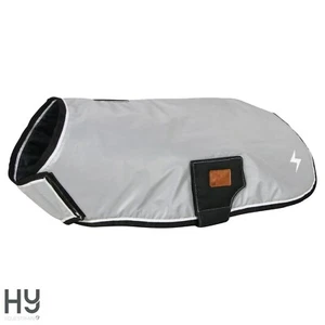 Benji & Flo Silva Flash Dog Coat Fluorescent Reflective Waterproof Dazzling - Picture 1 of 12