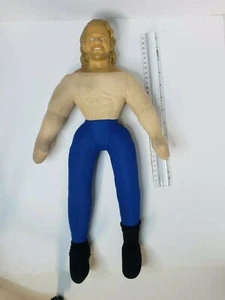 WCW Wrestler Plush 1998 DALLAS PAGE? - Picture 1 of 12