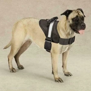 Guardian Gear Excursion Hundegeschirre -XL- 36"-46" - Bild 1 von 1