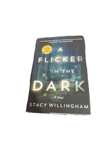 Flicker in the Dark : A Novel by Stacy Willingham (2022, Hardcover) - Picture 1 of 2
