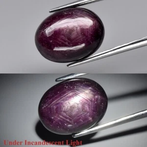 11.80ct 14.3x11mm Oval Cab Purplish Red 6 Ray Star Ruby (Heated Glass Filling) - Picture 1 of 12