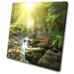 Woodland River Stream Forest Landscapes SINGLE CANVAS WALL ART Picture Print - Picture 1 of 1
