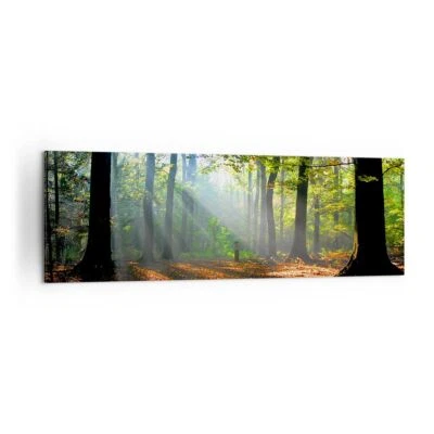 Wandbilder 160x50cm Leinwandbild Wald Blätter Sonne Groß XXL Bilder Wanddeko - Bild 1 von 4