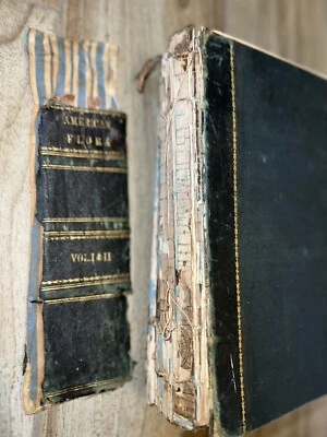 1851 The American Flora or History of Plants and Wild Flowers, Strong & Bidwell - Image 1 of 4