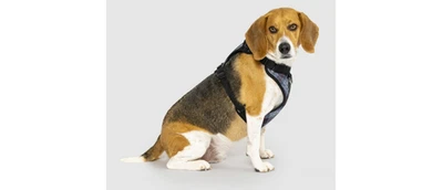 Canada Pooch Everest Explorer Red Fleece Lined Insulated Dog Coat, Size 10 (R1) - Image 1 of 4