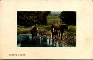 Postcard ON Sent from Brooklin to Port Perry Horses Cooling by Puddle 1910 K74 - Picture 1 of 2