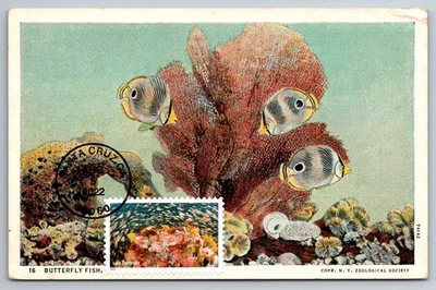 #5713k National Marine Sanctuaries Young Rockfish & Reef FDC Maxi Card w/Pictori - Image 1 of 2