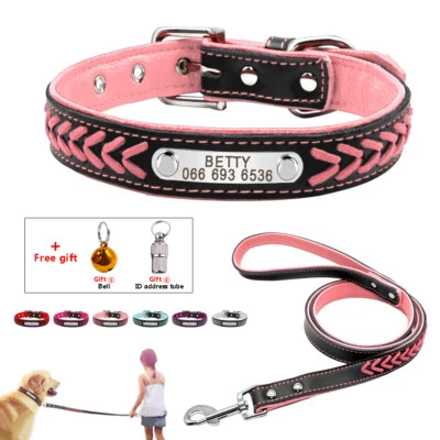 Collare e guinzaglio per Cani Identificativo Personalizzato Nome Colletto XS-XL - Immagine 1 di 4