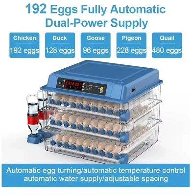 Incubadora de huevos controlada inteligente aves aves pollo AC/DC 190 huevos máximo Foto 1 de 4