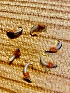 #12 Realistic Nymph Scud Fly For Trout Fishing FLIES X 6 GREAT FOR TROUT - Picture 1 of 1