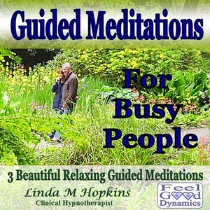 Guided Meditation CD Guided Meditation CD For Busy People to Relax and Unwind - Picture 1 of 4