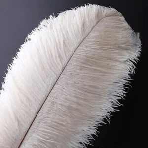 10 Pack 16-18" (40-45cm) White Ostrich Feathers - Bild 1 von 4