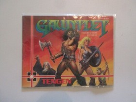 NES Gauntlet instruction booklet 