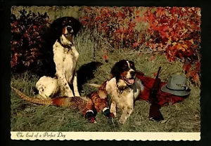 Guns / Hunting postcard pheasant hunting dogs rifle hat - Picture 1 of 2