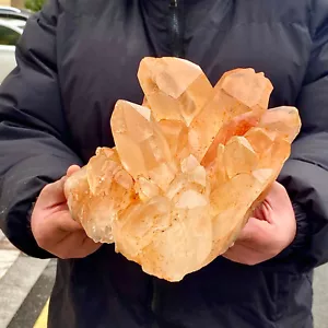11.08LB Natural yellow Quartz Stone Crystal Cluster Healing Stones Mineral - Picture 1 of 12