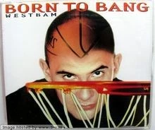 Born to Bang von Westbam | CD | Zustand sehr gut - Bild 1 von 2