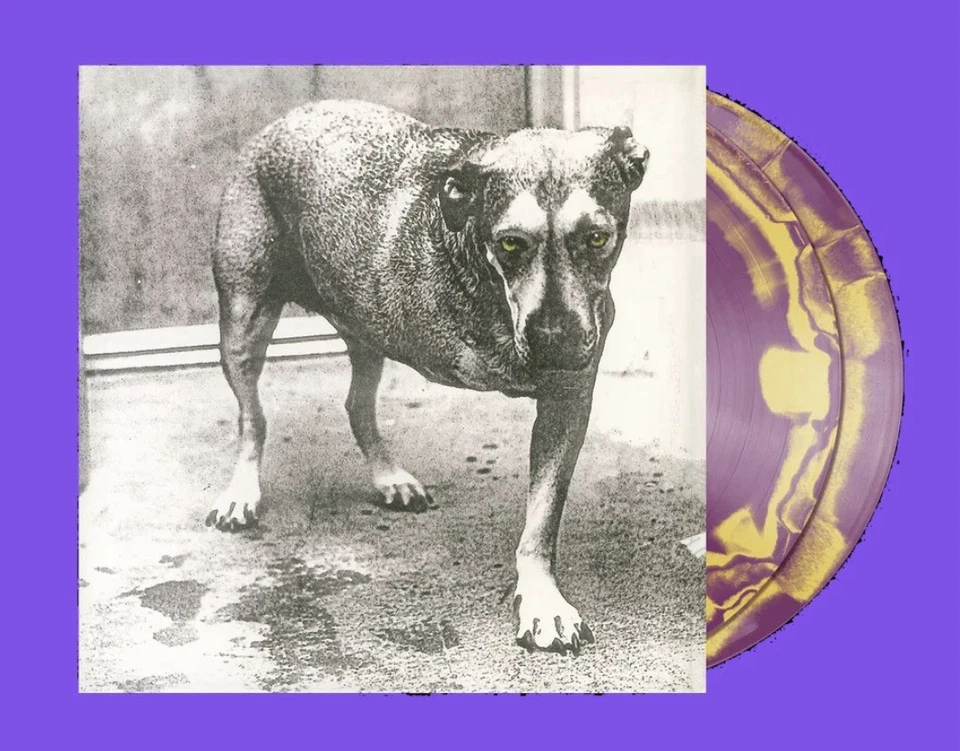 Alice in Chains Purple & Yellow Swirl Self-Titled D2C 30th Anniversary Vinyl LP - Image 1 of 1